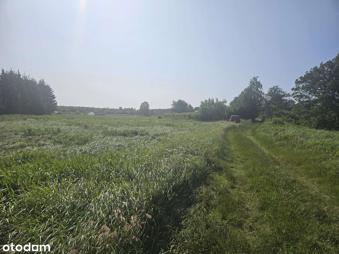 sprzedaz dzialki rolnej - Pełny obrazek: 4/10