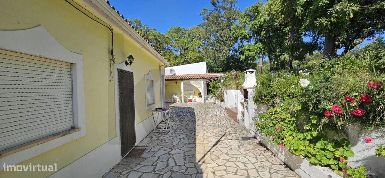 Exclusiva Propriedade Tradicional no Coração do Alentejo - Grande imagem: 4/26