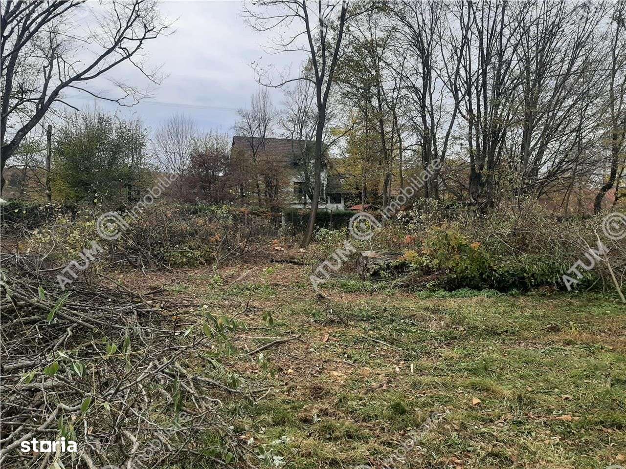Teren intravilan de vanzare pe Valea Avrigului - Imagine principală: 2/4