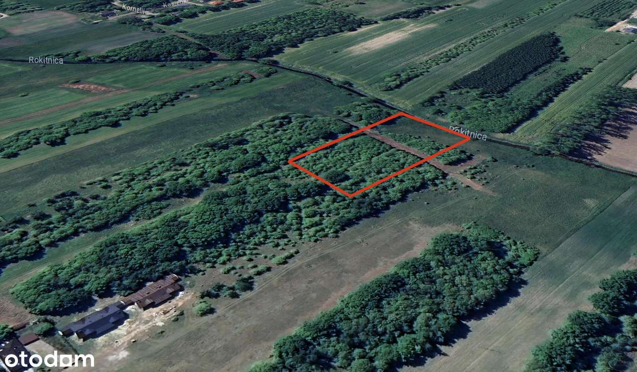 Działka_budowlana_pod_Warszawą!Chrzanów Mały 40ar! - Pełny obrazek: 4/10