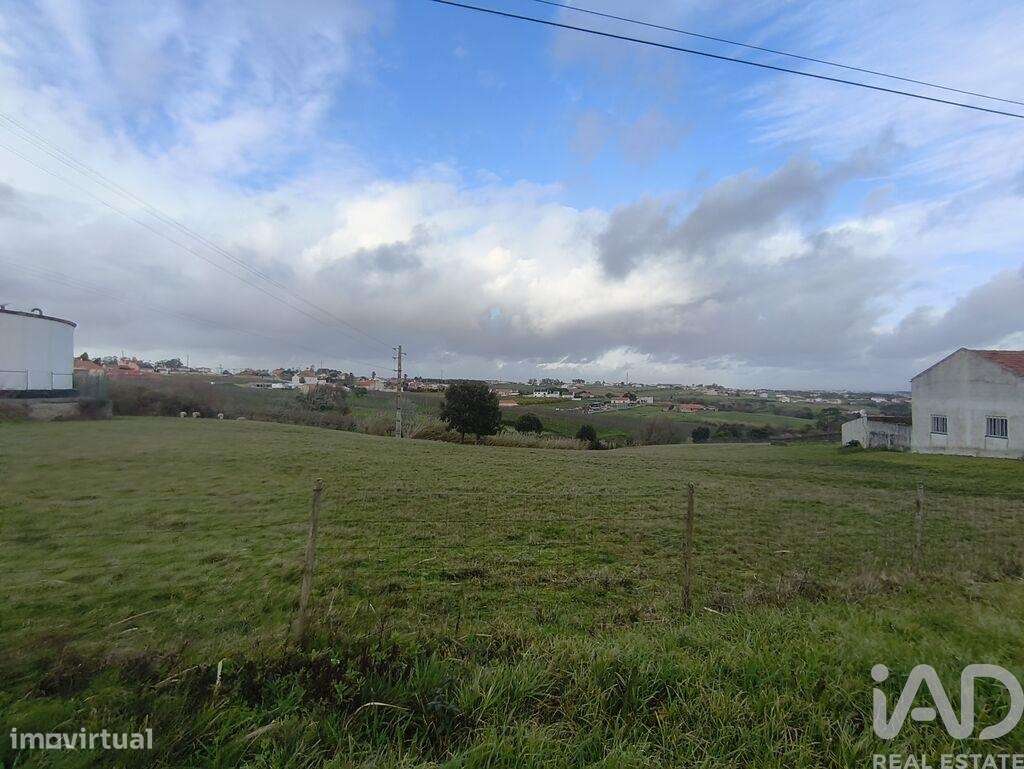 Terreno Agrícola em Cela