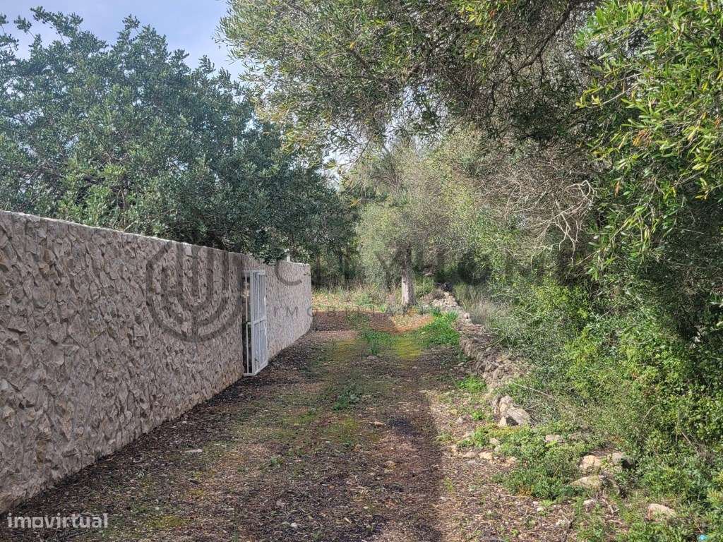 Terreno misto com projeto aprovado em Tunes - Grande imagem: 3/20