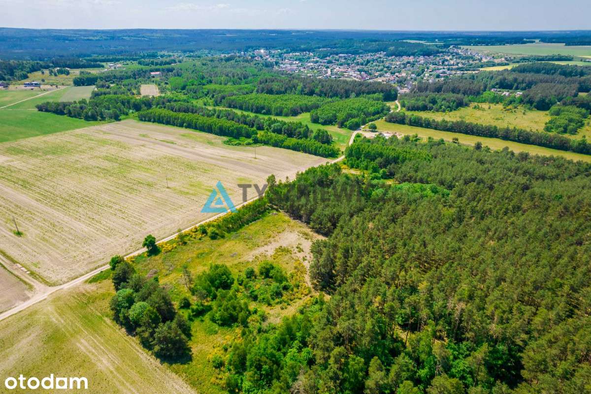 Działka rolna o pow. 1 ha  Dębnica Kaszubska - Pełny obrazek: 4/9