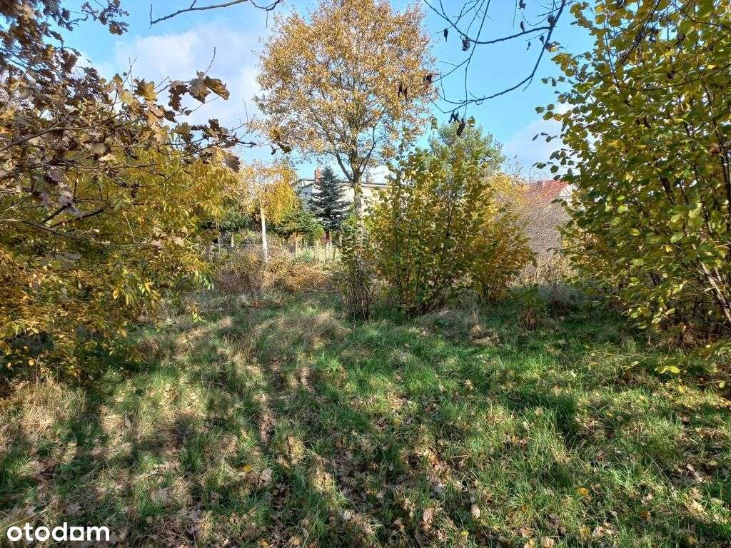 Podlesie, 975 m2, 22x44 m, budowlana, płaska-2