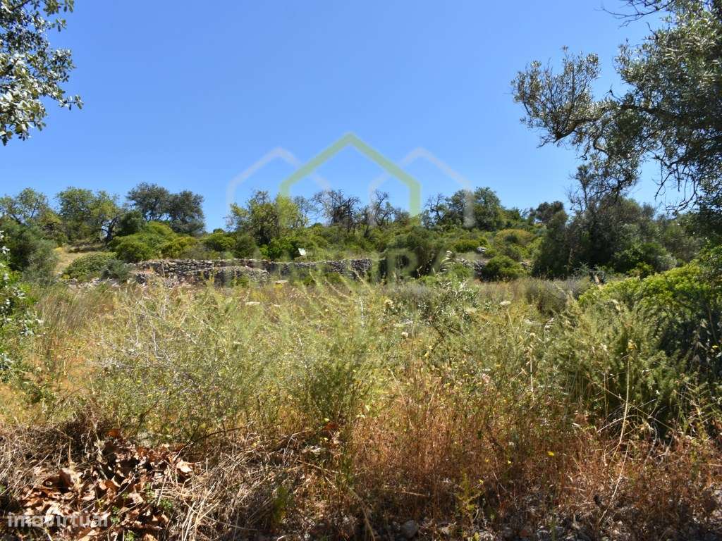 Terrenos Rústicos com Vista Mar Panorâmica em Vale Formoso, Loulé - Grande imagem: 2/15