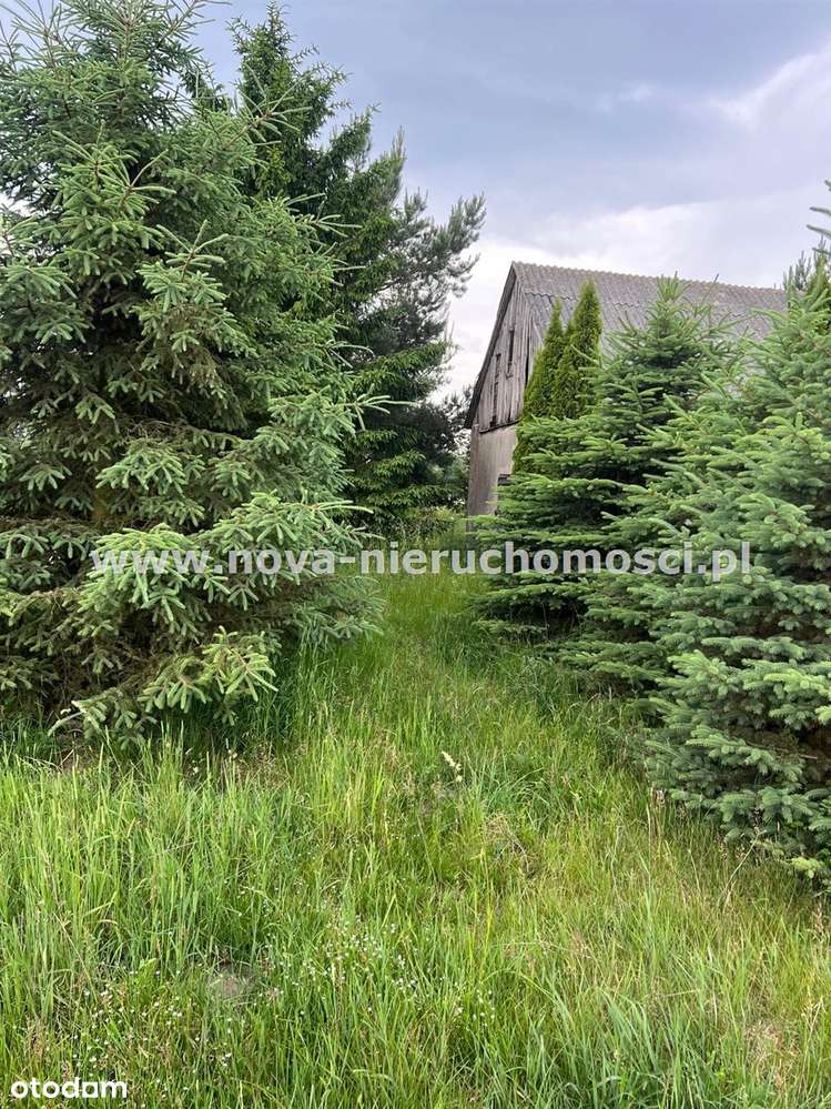 Dom Malanowo Stare-5