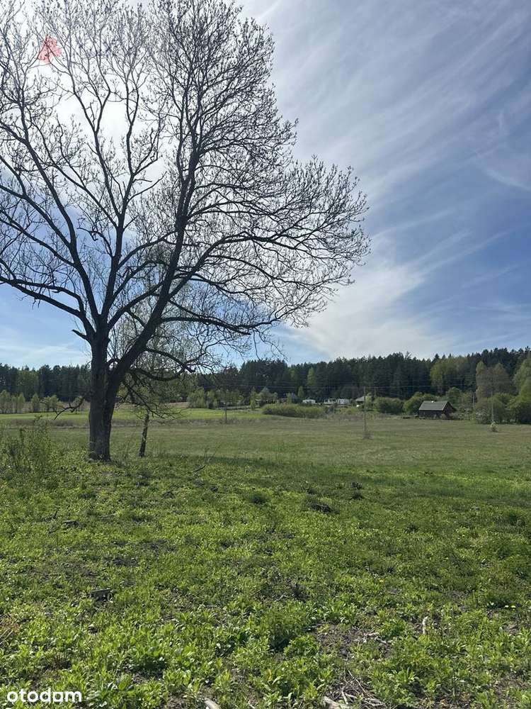 Pięknie położone działki - Rowek, gm. Szudziałowo-11