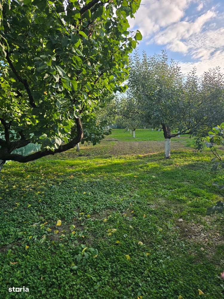 Casă în Cărășeu-17