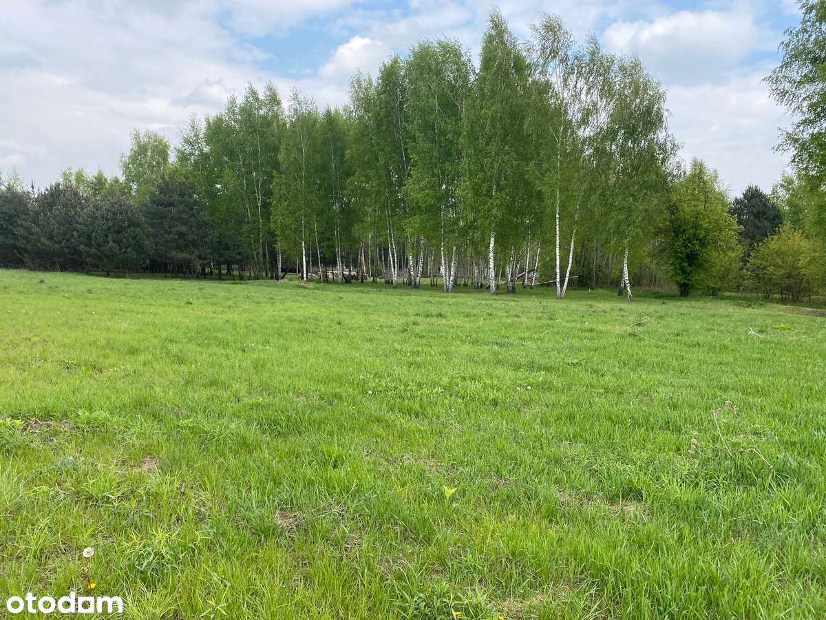 Sprzedam działki budowlane Marki Nadma, wołomiński - Pełny obrazek: 3/6