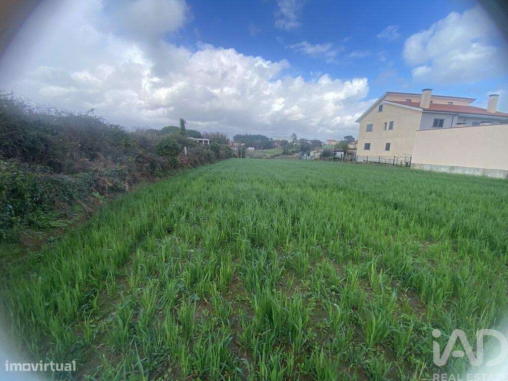 Terreno em Monção e Troviscoso-4