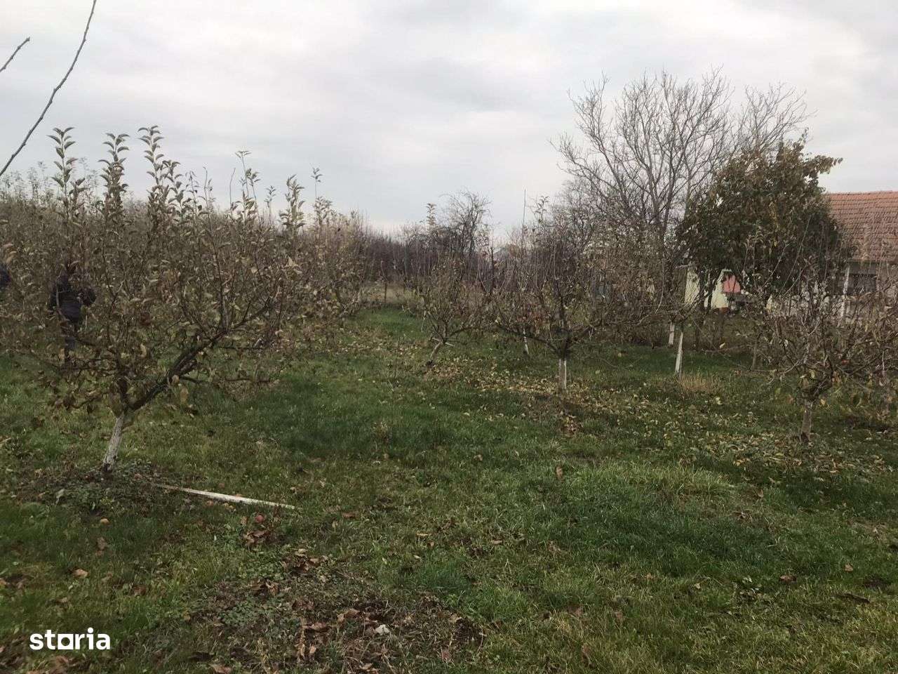 Alios - Teren Intravilan - 1470Mp - Imagine principală: 3/6