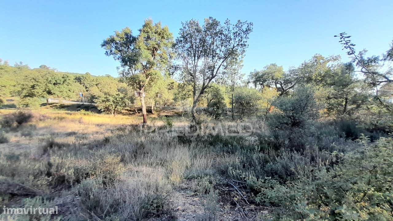 Terreno 3ha Sarzedas - Grande imagem: 3/32