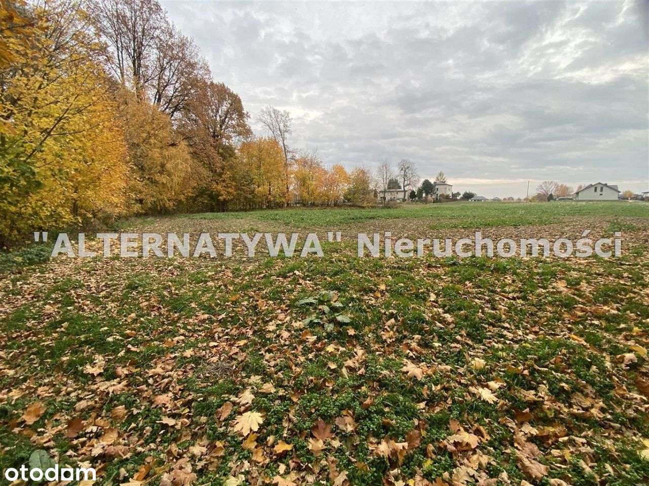 Wyjątkowa działka Mizerów-5