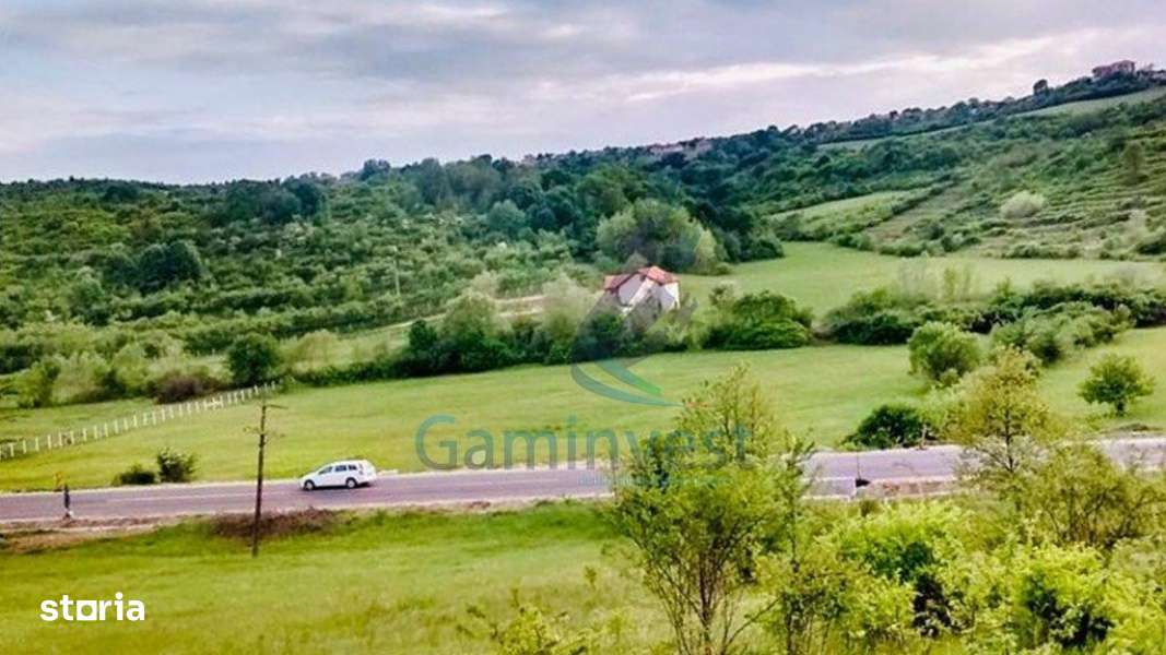 Gaminvest Teren de vanzare, la iesirea din Baile Felix, Bihor,V2897 - Imagine principală: 4/4