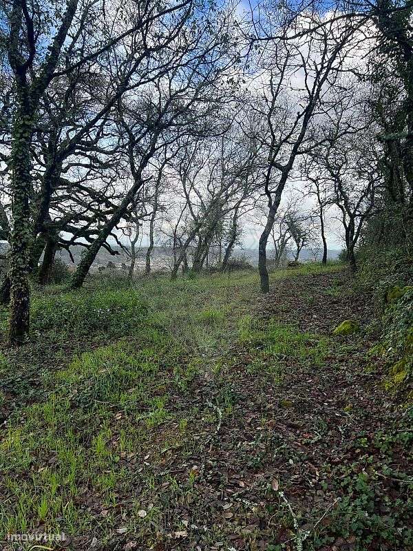 Terreno  para venda - Grande imagem: 3/9