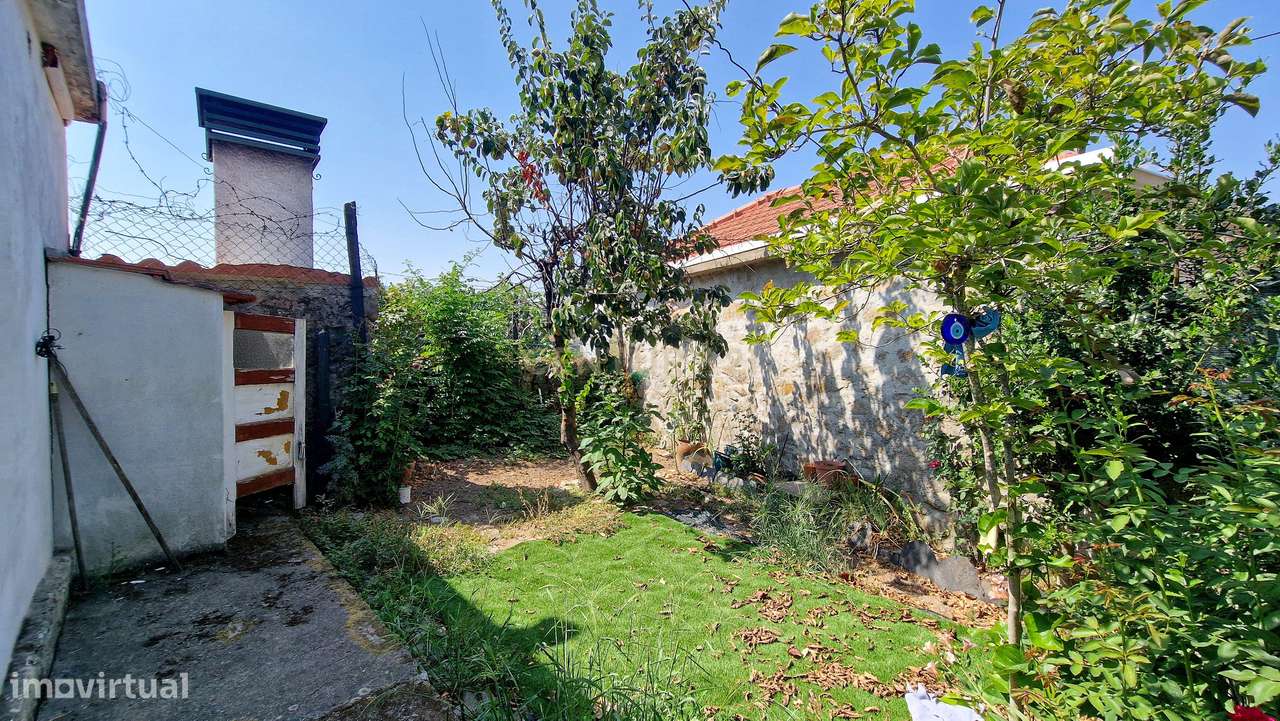 Casa de campo, terreno e Olival em Lamego - Grande imagem: 4/14