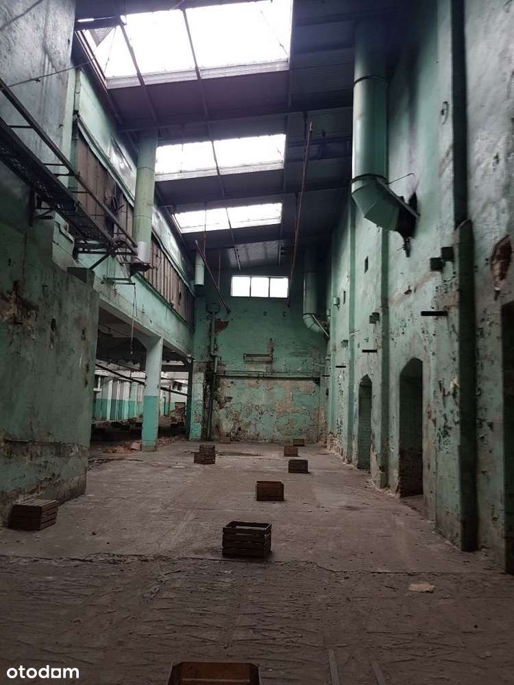 Hale produkcyjno-magazynowe sprzedaż lub wynajem-3