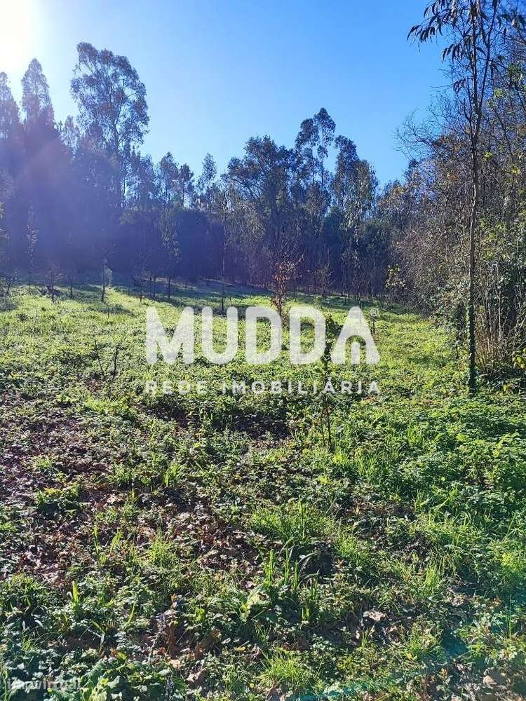 Terreno rústico com 3.370 m2 - Grande imagem: 2/5