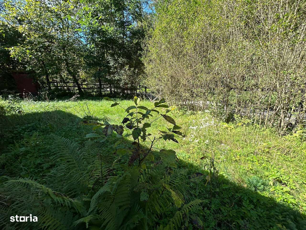 Cabana de vanzare, Valea Manastirii - Ramet-8