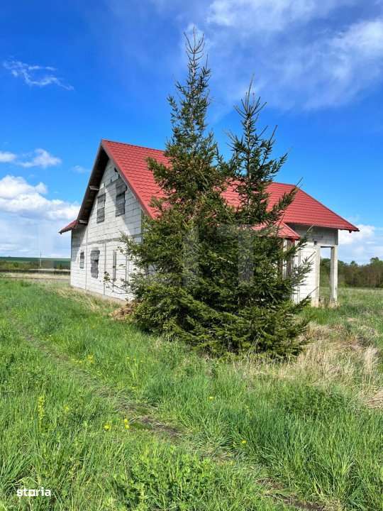 Casa individuala ,la rosu, zona -Negostina - Imagine principală: 4/5