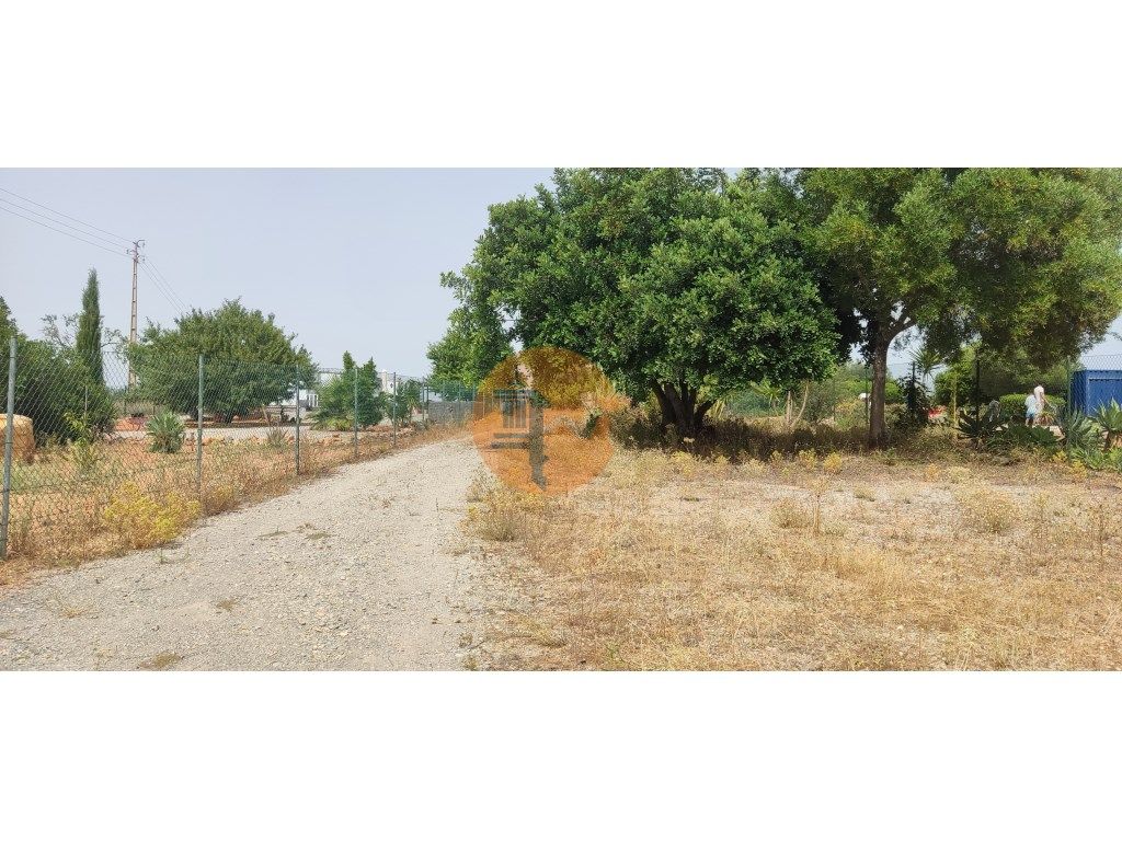 Terreno em Belo Romão - Moncarapacho e Fuzeta - Olhão