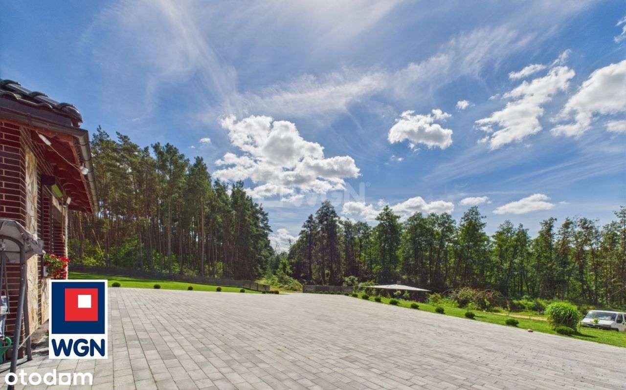 Dom pod lasem - Pełny obrazek: 4/17