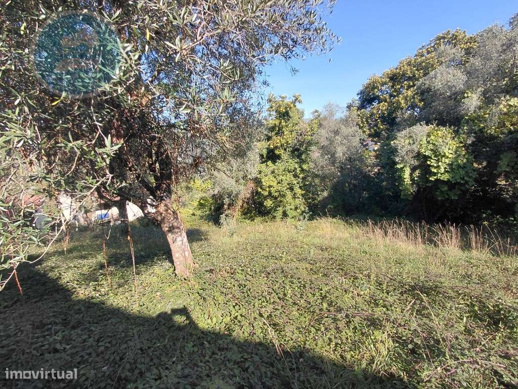 Casa Rústica em Pedra com Terreno para Restauro - Cambeses, Cabecei...-57