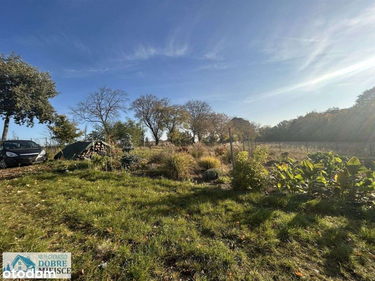 Działka Budowlana 3000 m² Ze Ścianą Lasu - Pełny obrazek: 5/8