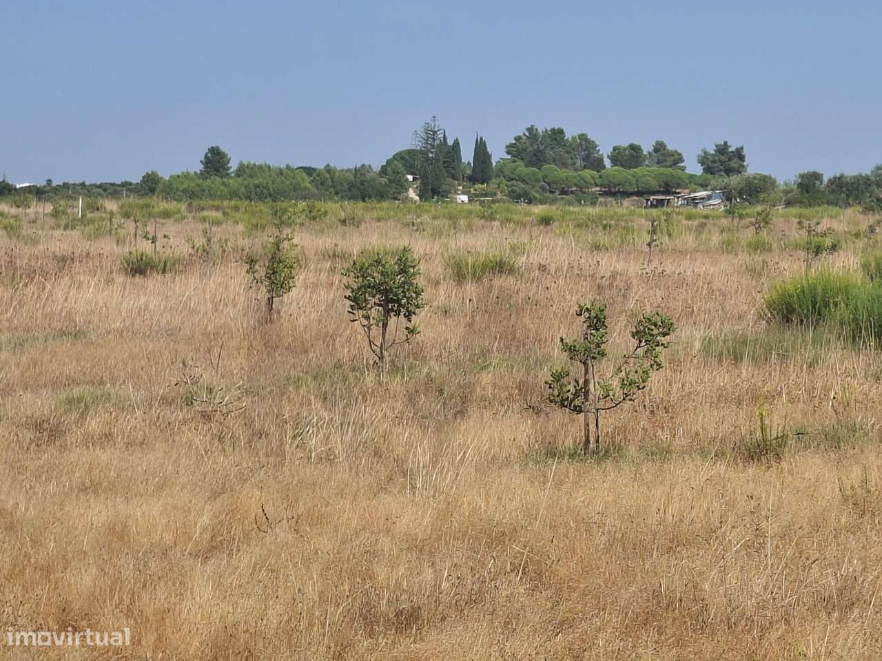 Propriedade agrícola com 78.640 m2 em Vale da Lama, Odiáxere.-15