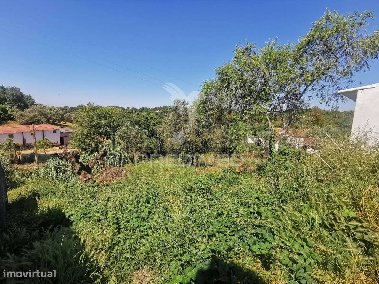 Lote de Terreno - Grande imagem: 5/9