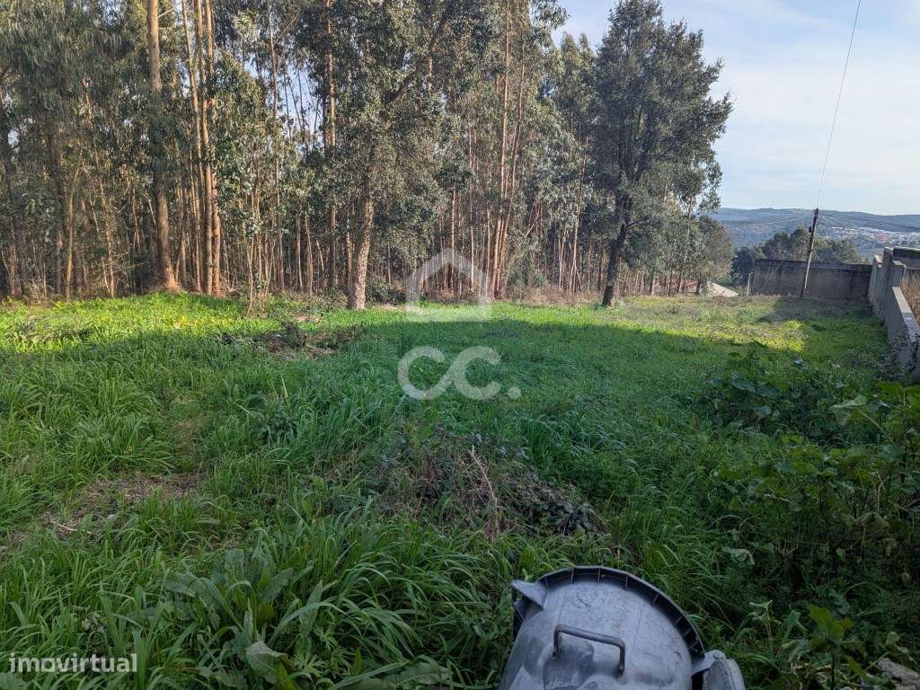TERRENO RÚSTICO COM CAPACIDADE CONSTRUTIVA | 10.290 m² | LOUSADO Vi...-10