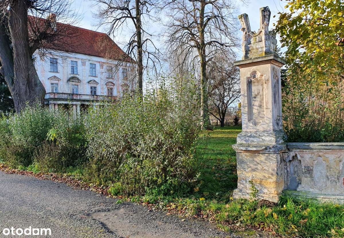 Zespół pałacowy(21ha) _ z DUŻYM terenem pod bud. mieszkaniowe(MPZP)-9