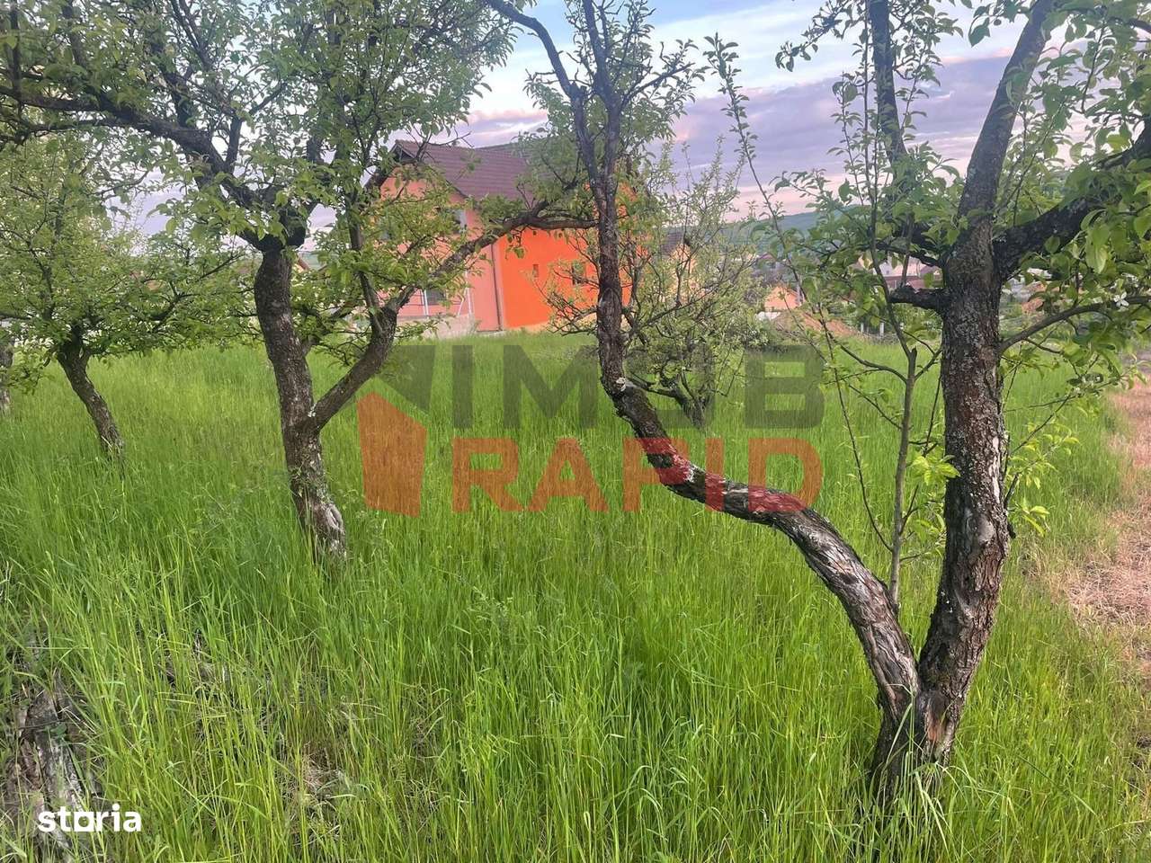 Teren intravilan, 1.000mp, Zona Drumul Sigmirului - Imagine principală: 4/9