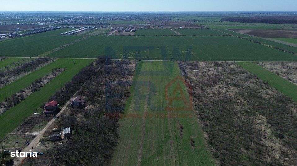 Teren de vanzare, Sabareni - Imagine principală: 4/7