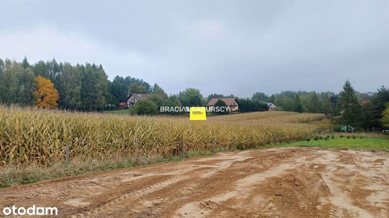 Działka, 19 600 m², Nowa Góra-6