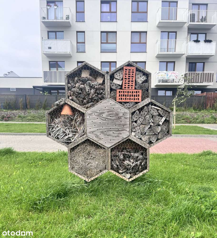 3 pokoje bez prowizji, najniższa cena!-8