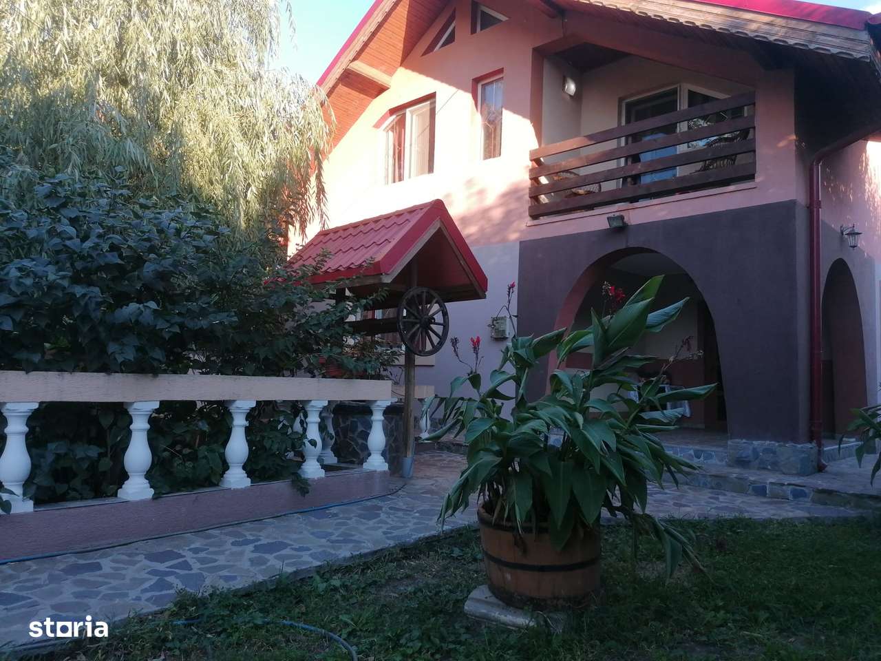 Dascalu-lfov-Vila D+P+M-5 camere-Locatie Deosebita - comision 0 - Imagine principală: 1/11