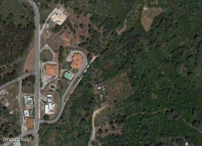 Terreno Rústico Único em Minde, Alcanena - Grande imagem: 2/3