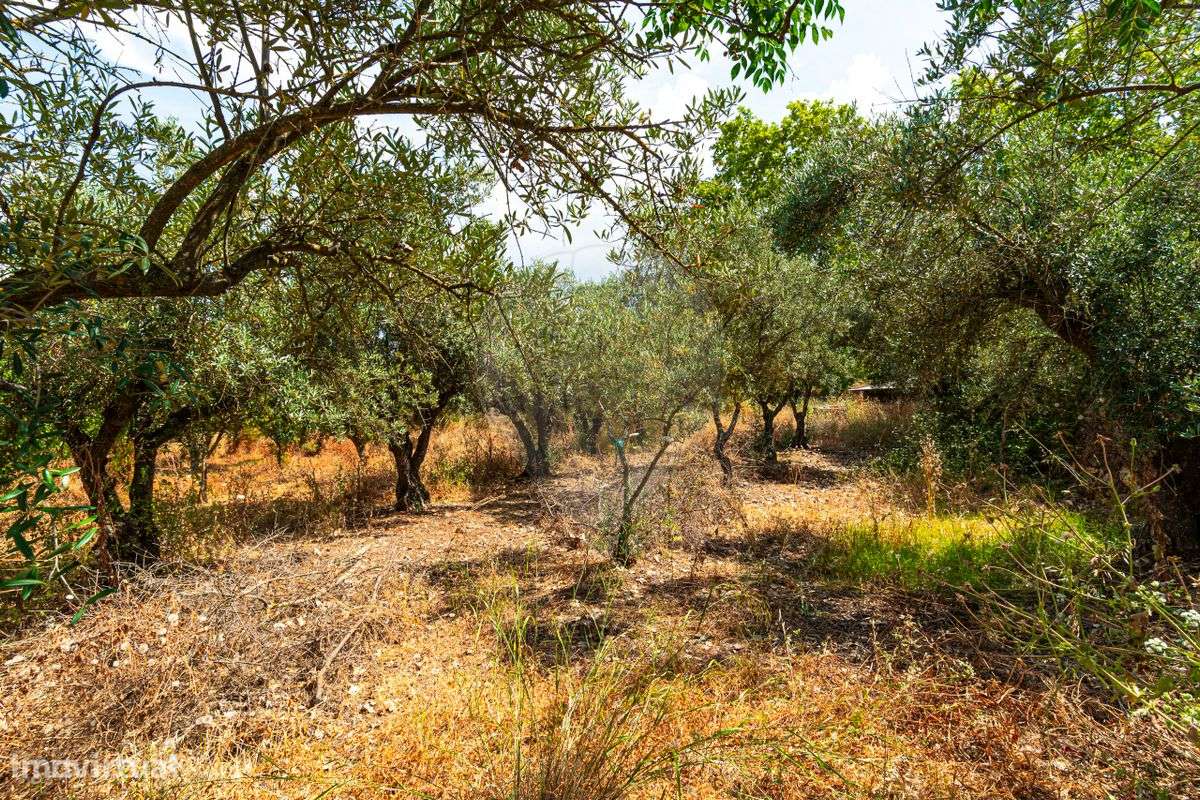 Terreno  para venda - Grande imagem: 4/44