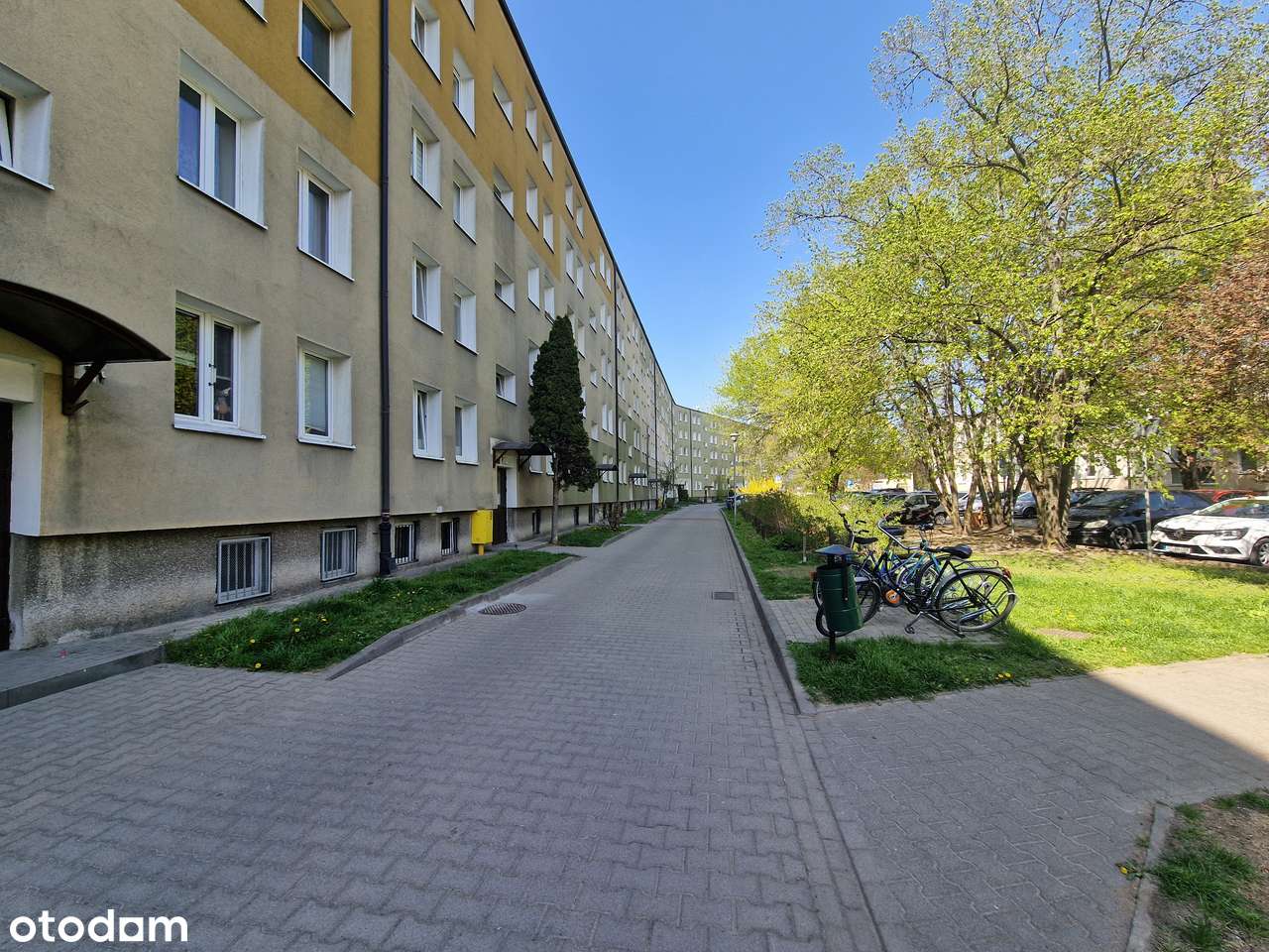 3 pokoje, Winogrady , Przyjaźni-11