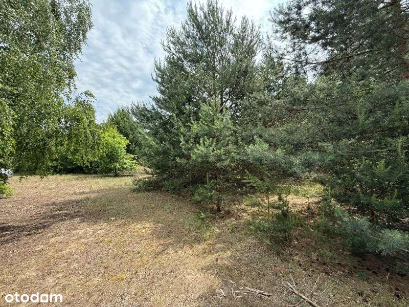 Działka w leśnej okolicy blisko jezioro Zdworskie! - Pełny obrazek: 4/8