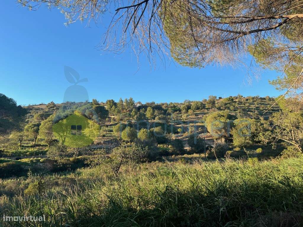 TERRENO VISTA FABULOSA A SUL - 5.240(m2) A 1KM DE TUNES GARE - Grande imagem: 2/33