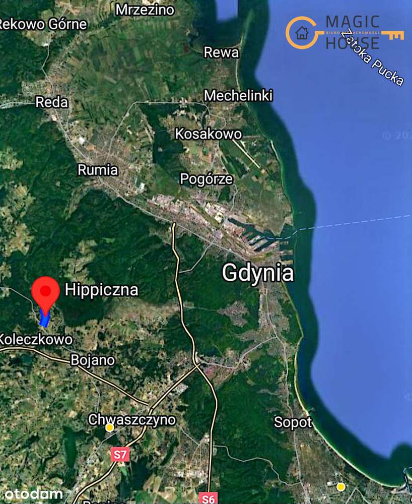 mg226950 - Pełny obrazek: 3/17