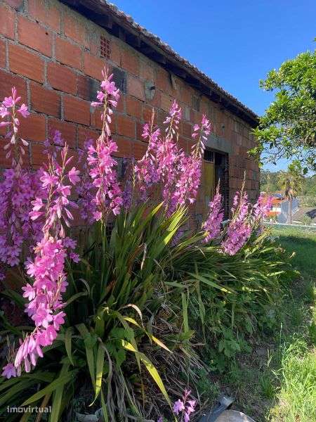 Terreno rústico com anexo - Grande imagem: 4/12