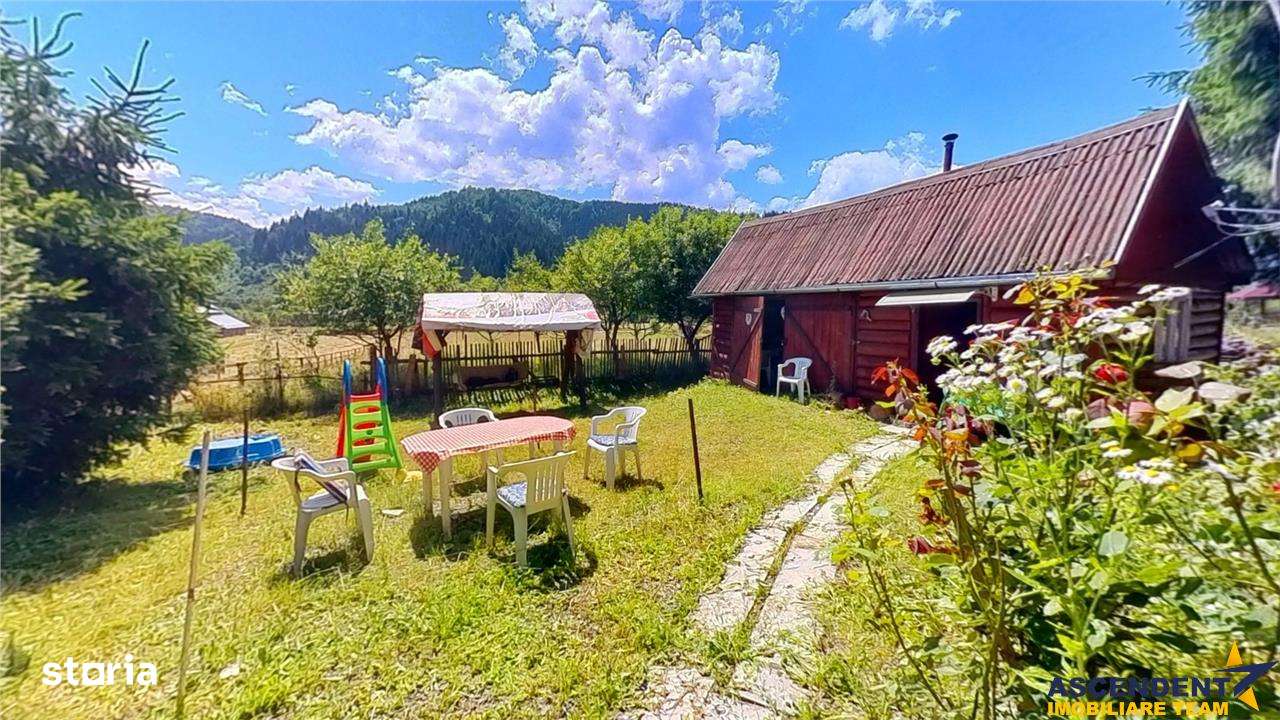 Tur 3D&FILM!!Refugiu de vacanta, in pitorescul cadru:Lunca Bradulu - Imagine principală: 3/12