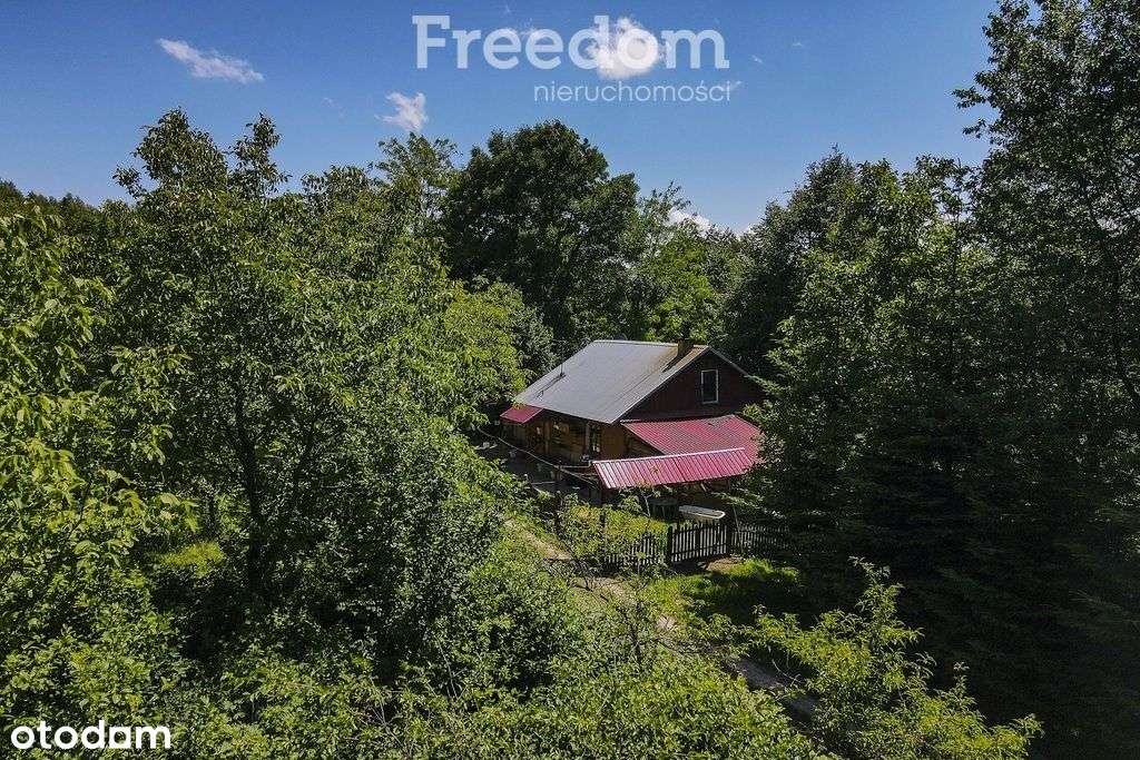 Działka 62,87 ar z zabudowaniami przy lesie-6