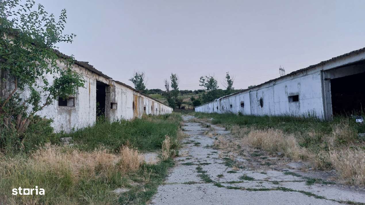 Hale industriale, 7000 mp, Pielesti - Imagine principală: 4/4