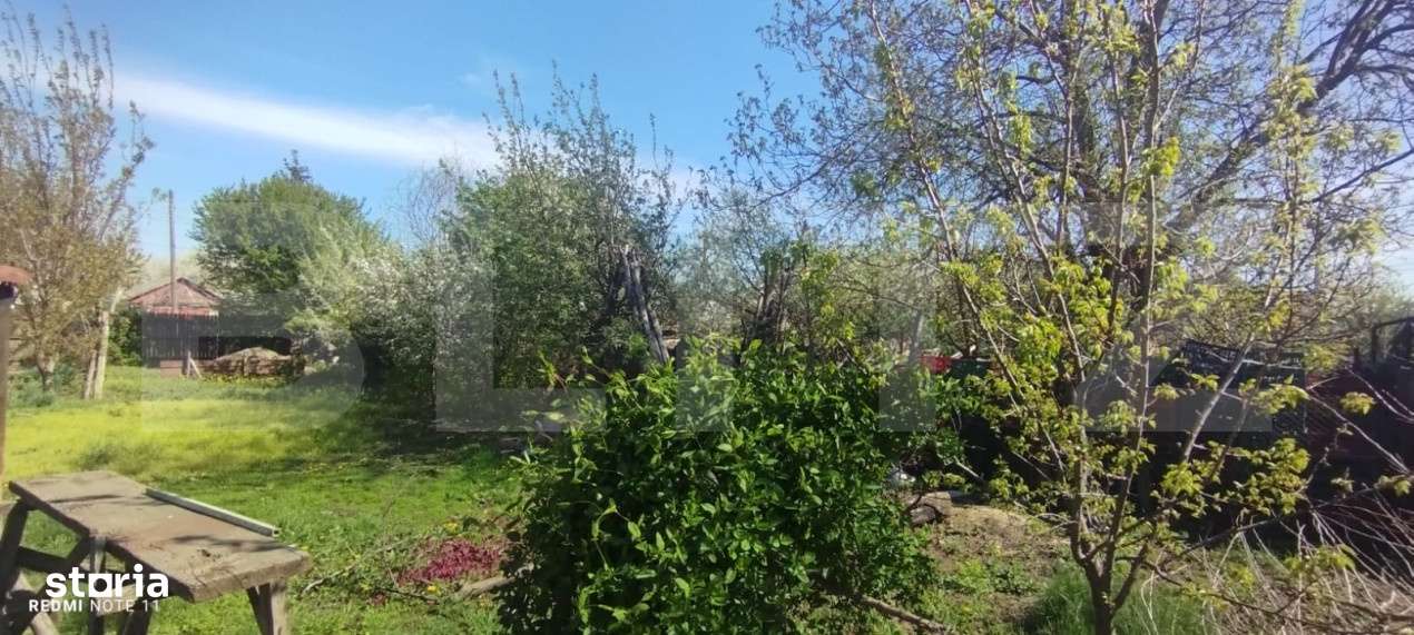 Teren 970mp, exclent amplasat, Valea Lupului - Imagine principală: 2/3