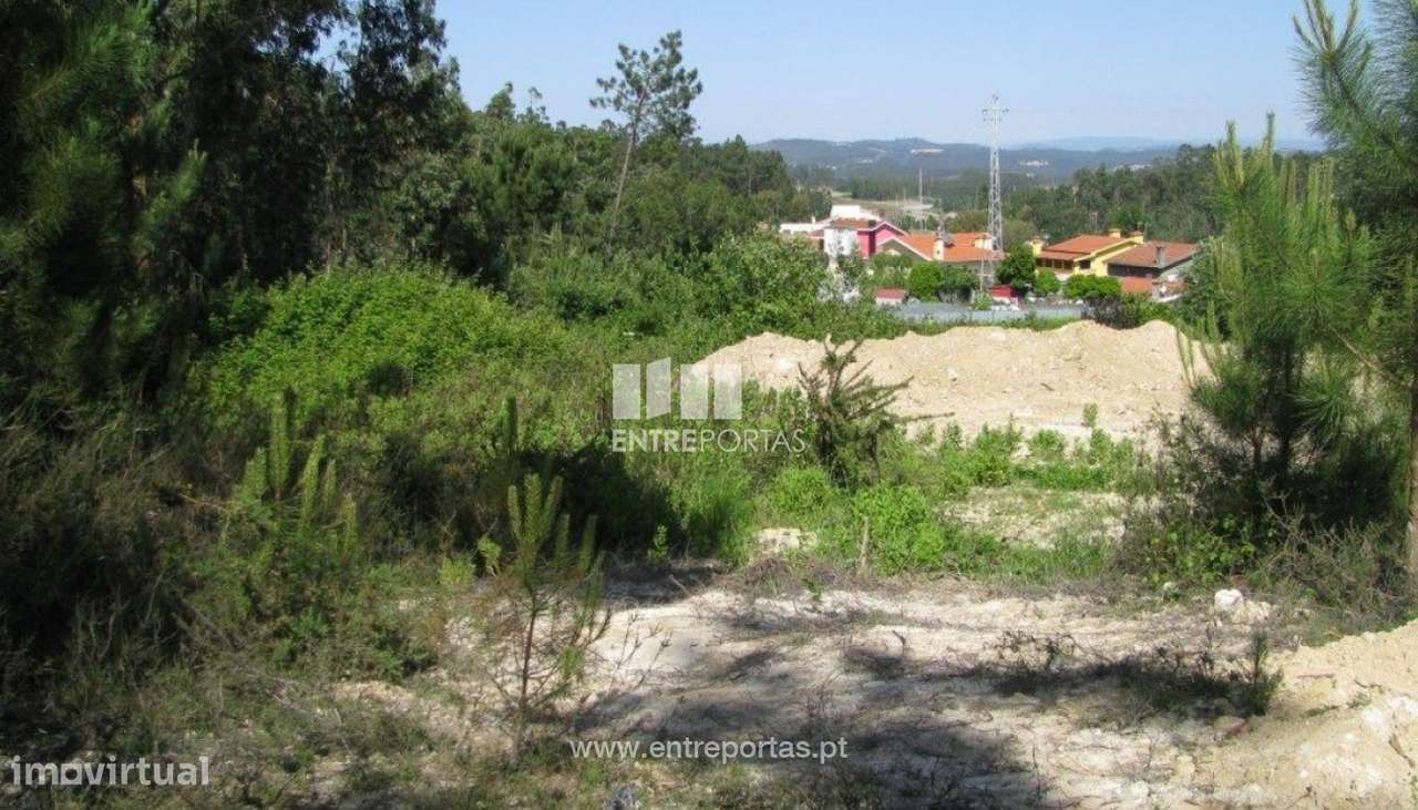 Venda de Terreno com 7800 m2, Bagunte, Vila do Conde - Grande imagem: 2/5