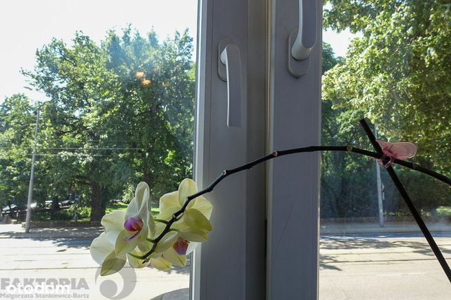 4 pokoje, 97,2 m2, parter, blisko Parku 740000 zł-14